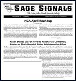 2024 - April Sage Signals thumb