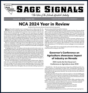 2024 - December Sage Signals image